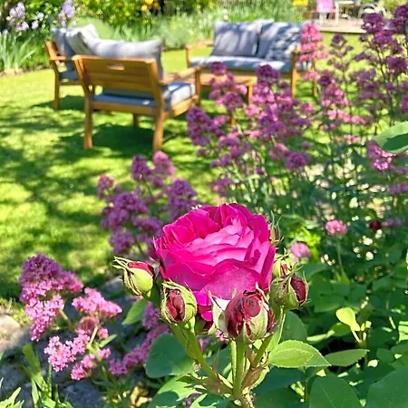 Le Petit Cochon Bed & Breakfast 3*