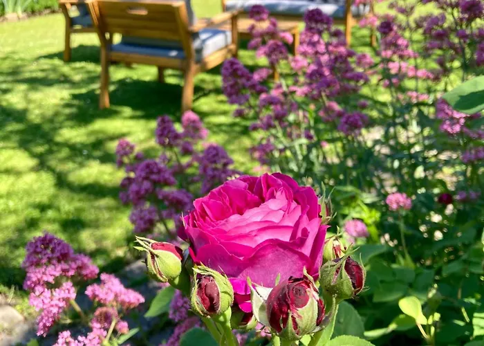 Le Petit Cochon Bed & Breakfast Valence-sur-Baïse